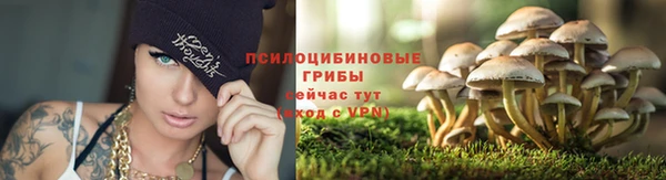 кокаин колумбия Семёнов